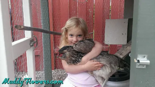 Ruthie And The Birdie 2 Ruthie Holding A Chicken