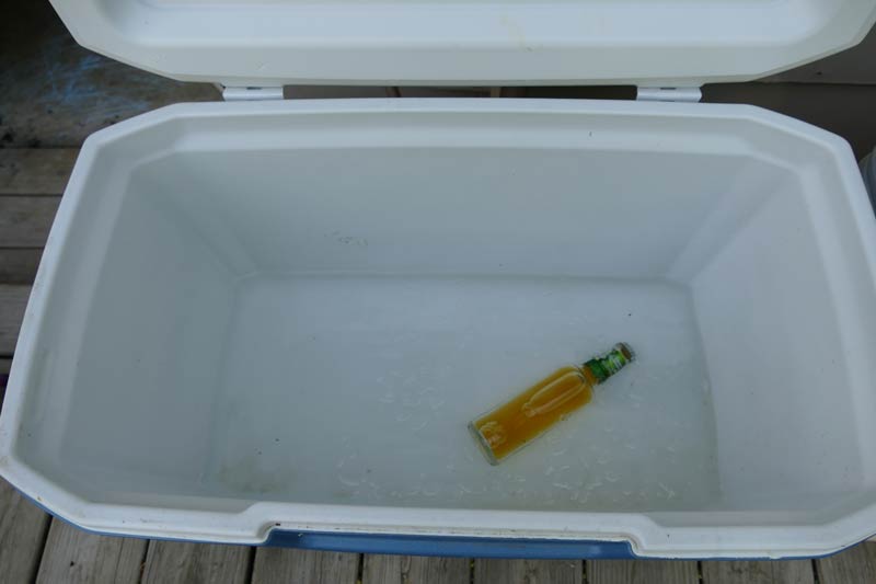 The Coleman Xtreme After 4 Days