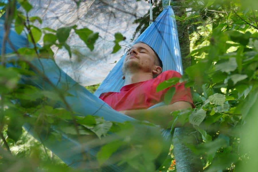 Napping In Hammock