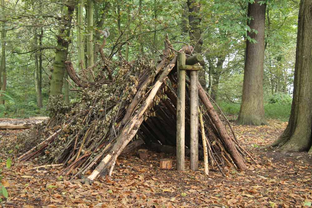 A stick shelter in the woods