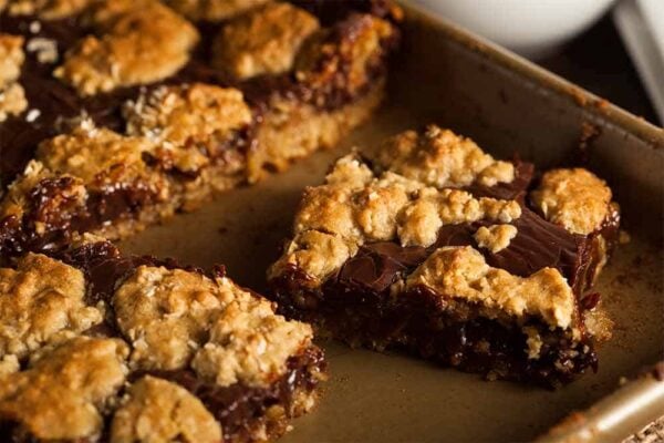 25 Make Ahead Camping Meals to Feed Your Whole Family 20 easy no bake smores bars