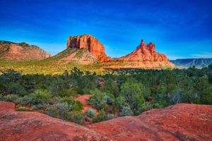 Coconino National Forest - Beyond The Tent