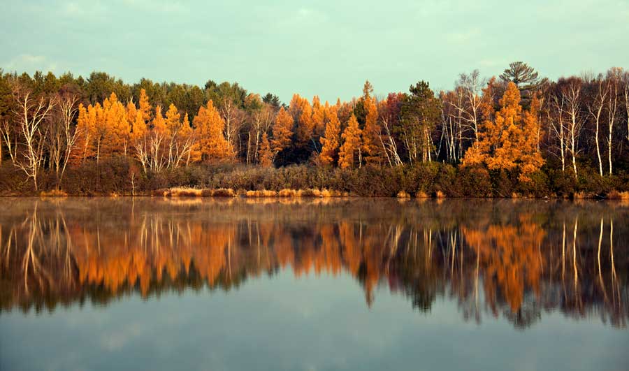 Shoreline of Tomahawk Lake in Wisconsin