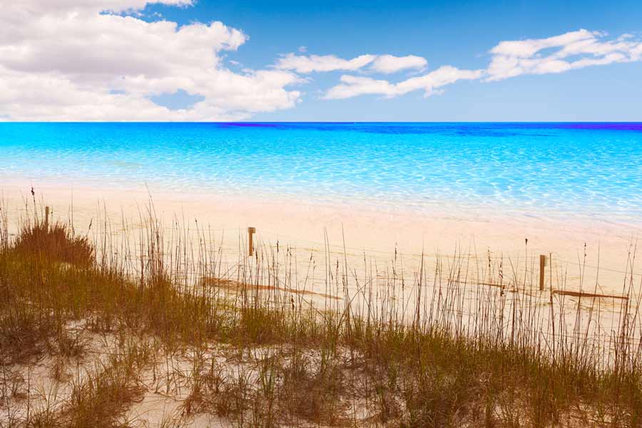 White Sand at Henderson Beach