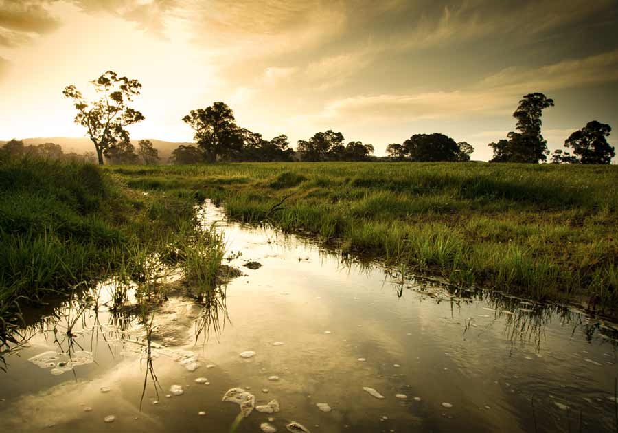Sunset over Juniper Wetlands