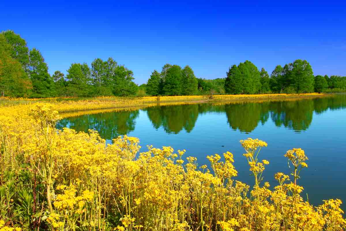 Beautiful lakeside campground in Illinois