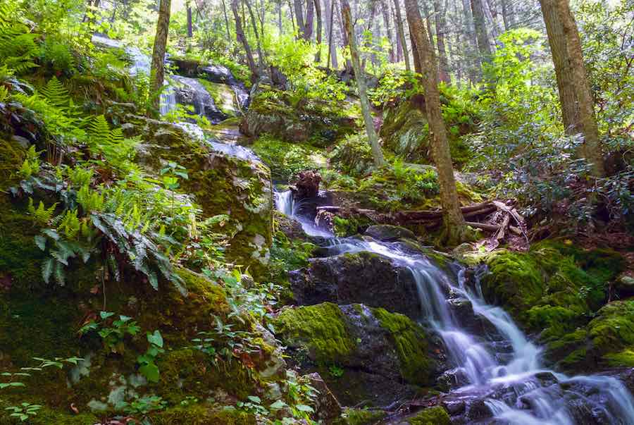 40 of the Best Places To Go Camping In New Jersey 6 40 of the Best Places To Go Camping In New Jersey 3