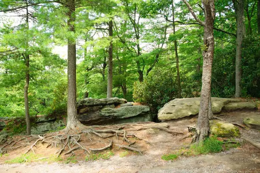 40 of the Best Places To Go Camping In Virginia 29 Rocks and Trees in Jefferson National Forest