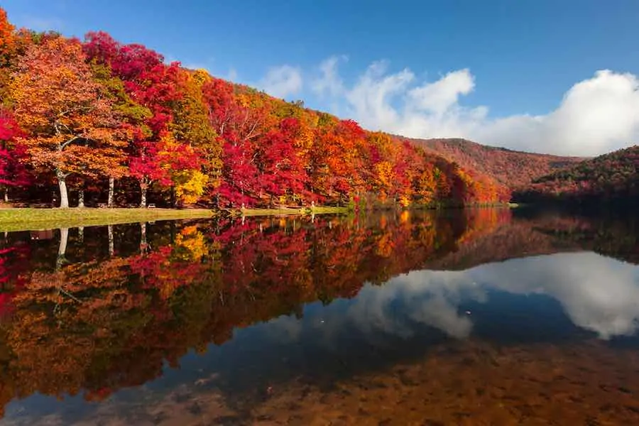 40 of the Best Places To Go Camping In Virginia 9 Red foliage in Sherando Lake Recreation Area in Fall. Virginia