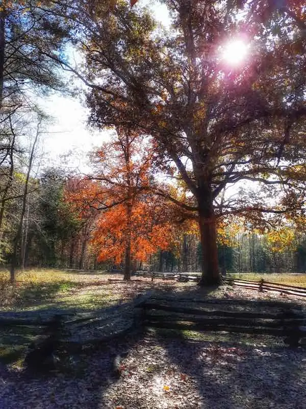 40 of the Best Places To Go Camping In Virginia 17 40 of the Best Places To Go Camping In Virginia 2