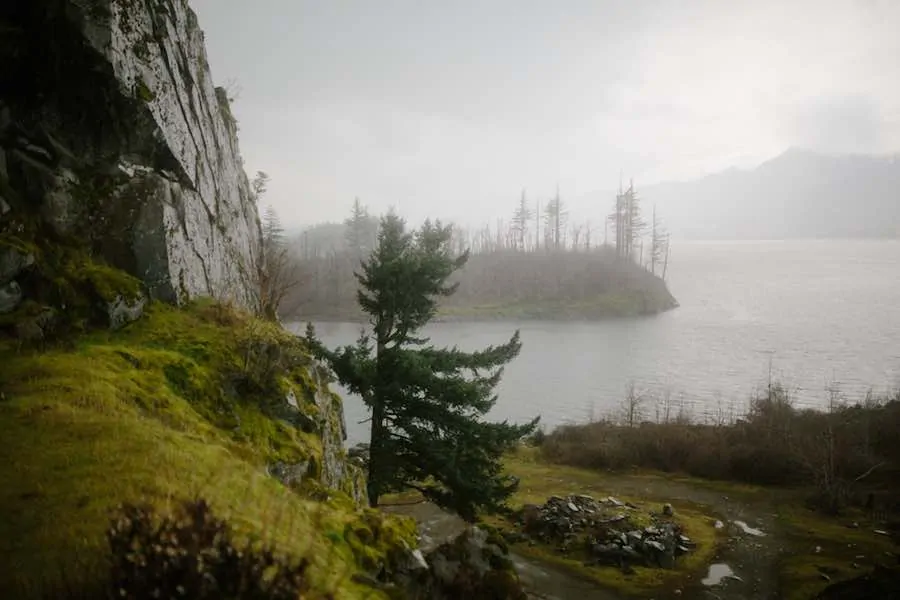 35 of the Best Places to Go Camping in Oregon 4 Foggy view of the Columbia River Gorge