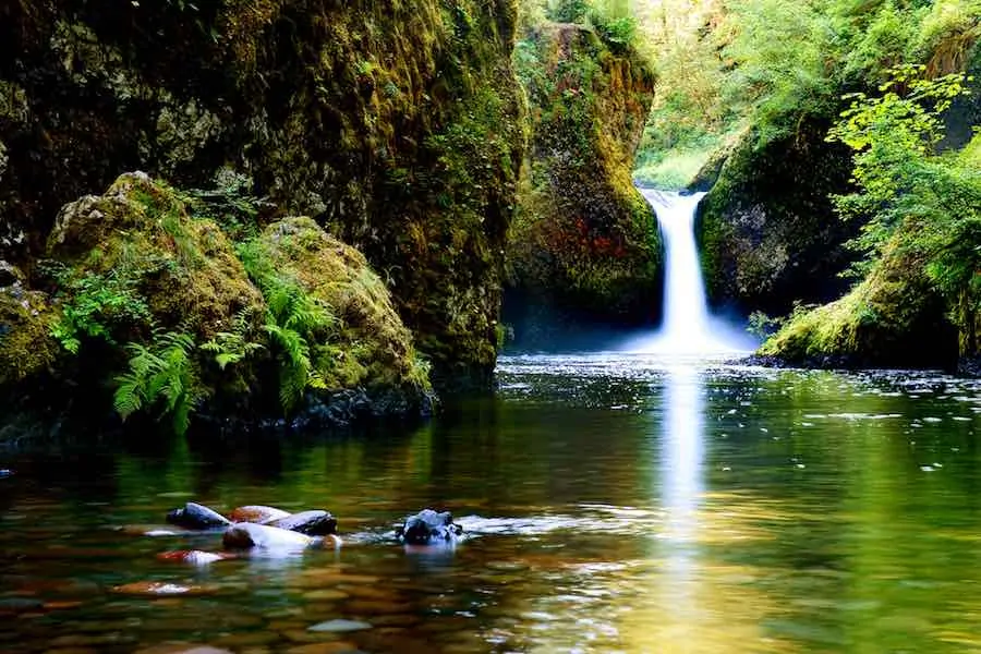 35 of the Best Places to Go Camping in Oregon 10 Punch Bowl Falls waterfall on Eagle Creek in the Columbia River Gorge