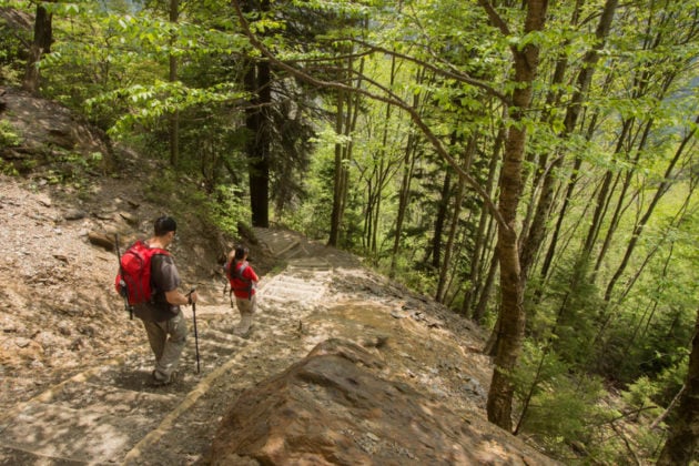 The Complete Guide to Camping in Great Smoky Mountains National Park ... - Backpacking Smokies 630x420