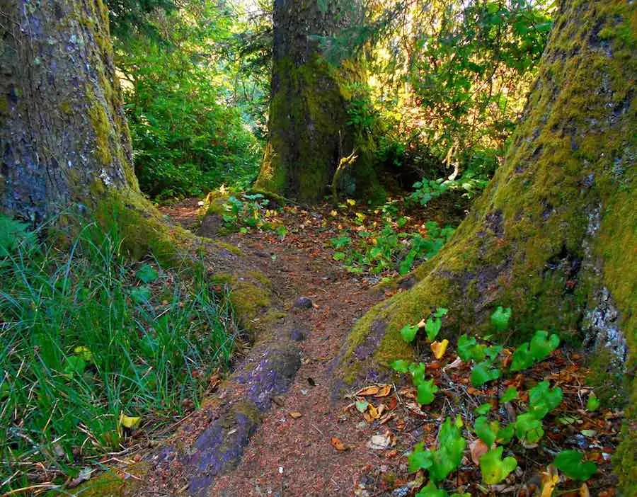 35 of the Best Places to Go Camping in Oregon 24 Devil's Lake State Recreation Area