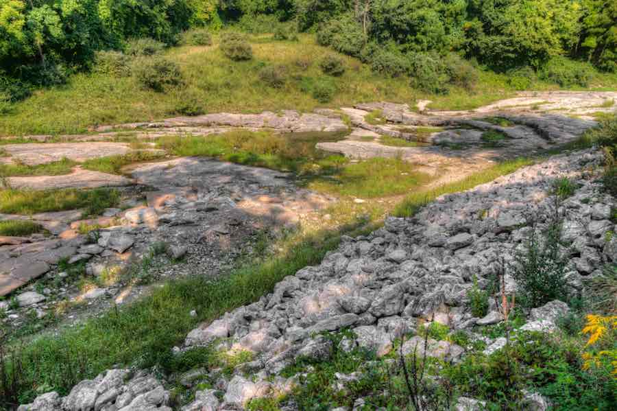 Devoniano Forra Fossile