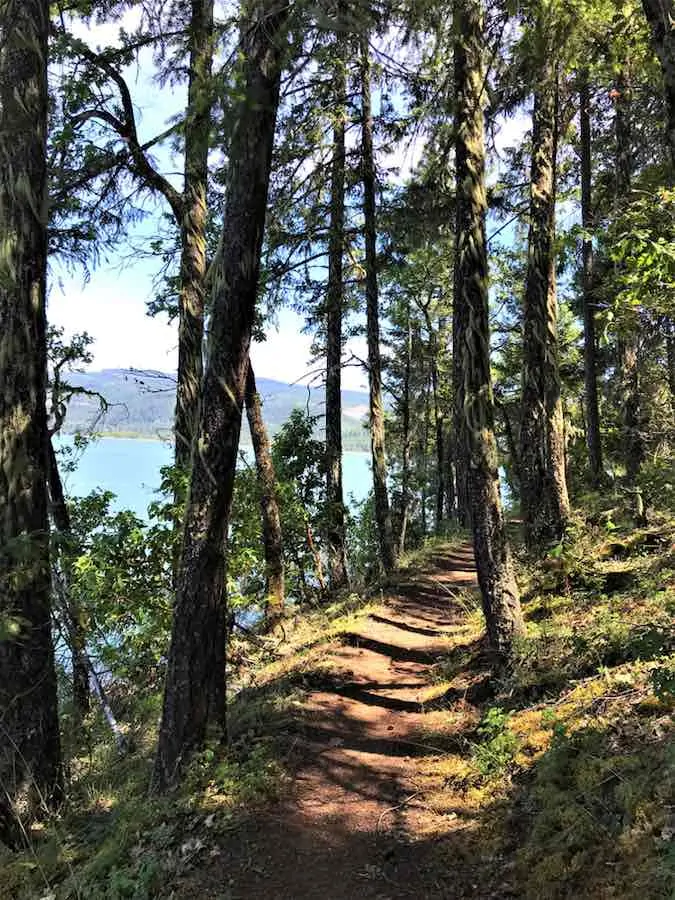35 of the Best Places to Go Camping in Oregon 21 Hiking Trail at Lost Creek Lake