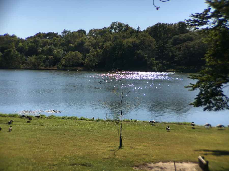 Camping au parc d'État de Prairie Rose