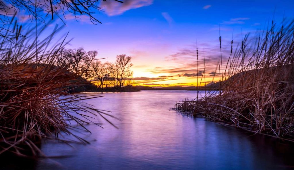 Camping In Patagonia Lake State Park Az Beyond The Tent