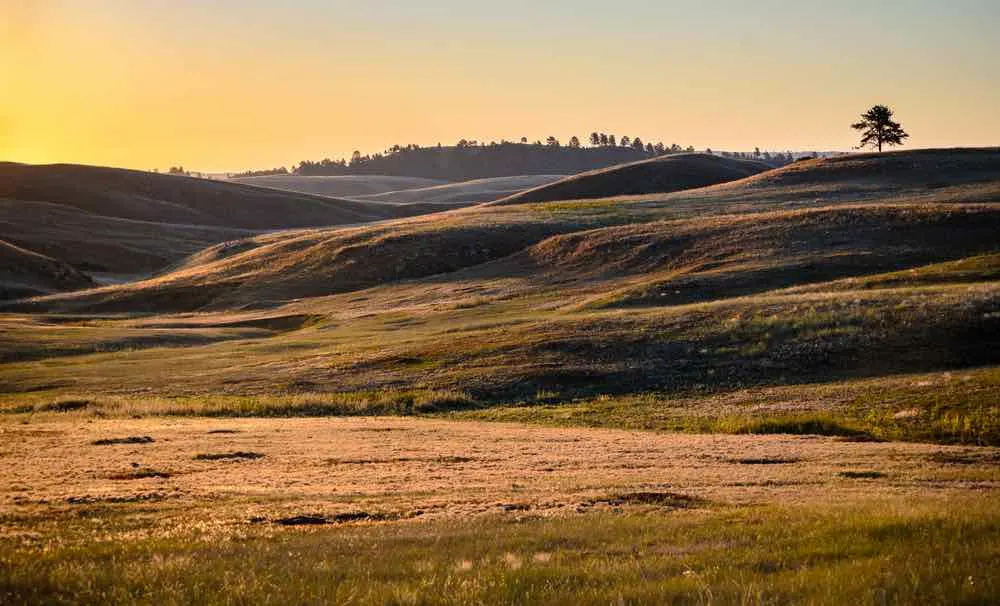 14 Things to Do in the Black Hills National Forest 10 Wind Cave National Park, South Dakota