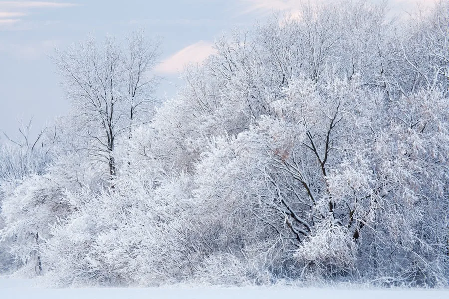 33 of the Best Places to Go Camping in Michigan 32 Winter Camping at Fort Custer State Recreation Area
