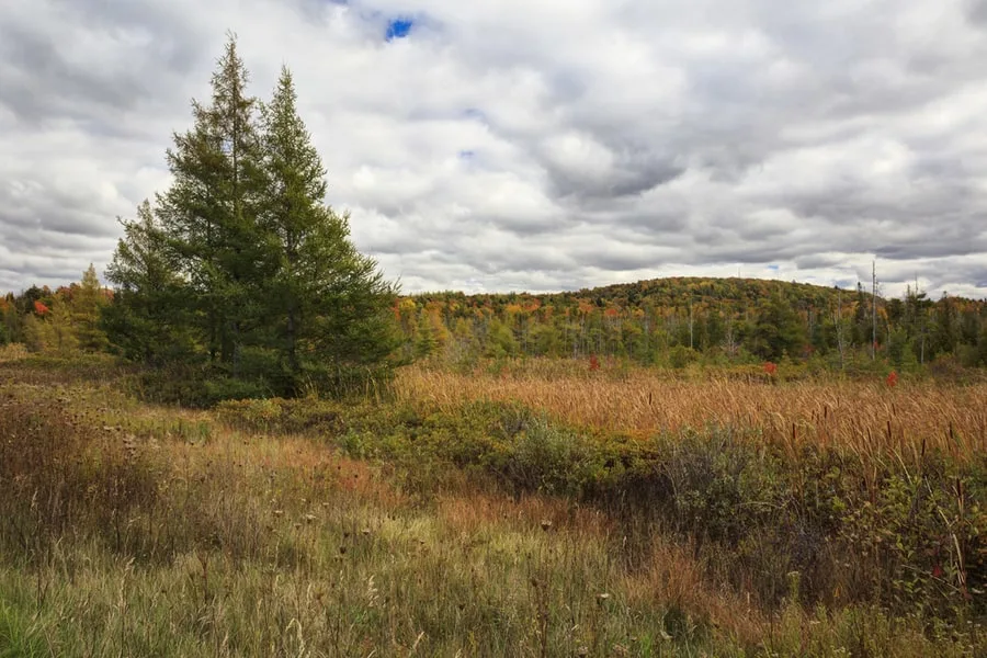 33 of the Best Places to Go Camping in Michigan 25 Camping in Hiawatha National Forest