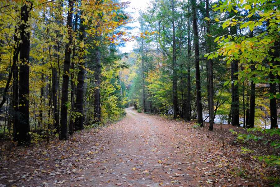 Mohawk Trail State Forest
