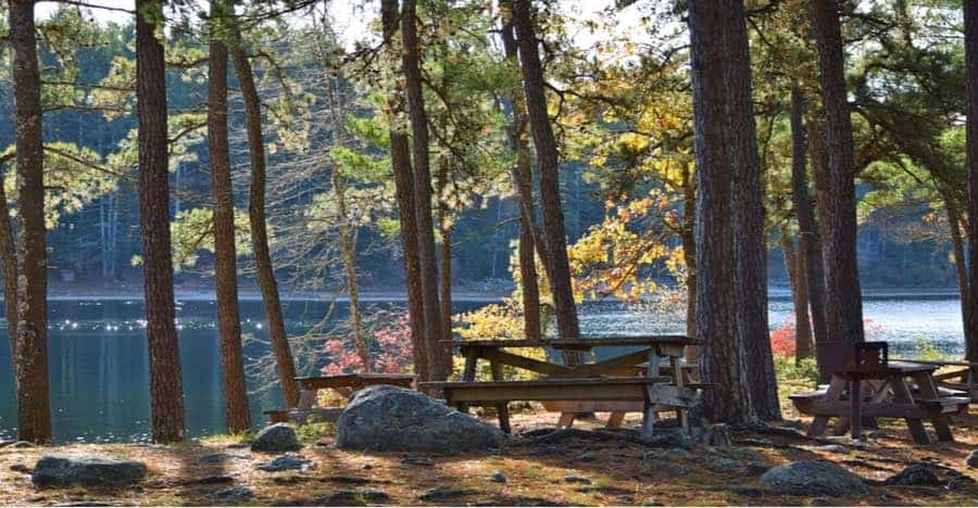 Myles Standish State Forest Campground in Massachusetts