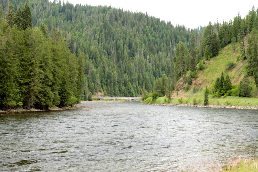 River in National Forest in Idaho