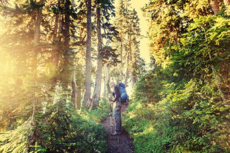 The Best Camping in Sequoia National Park Beyond The Tent