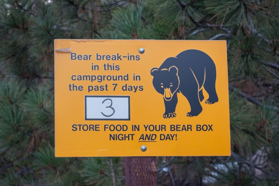 Sign Discussing Bear Break-Ins In a Campground