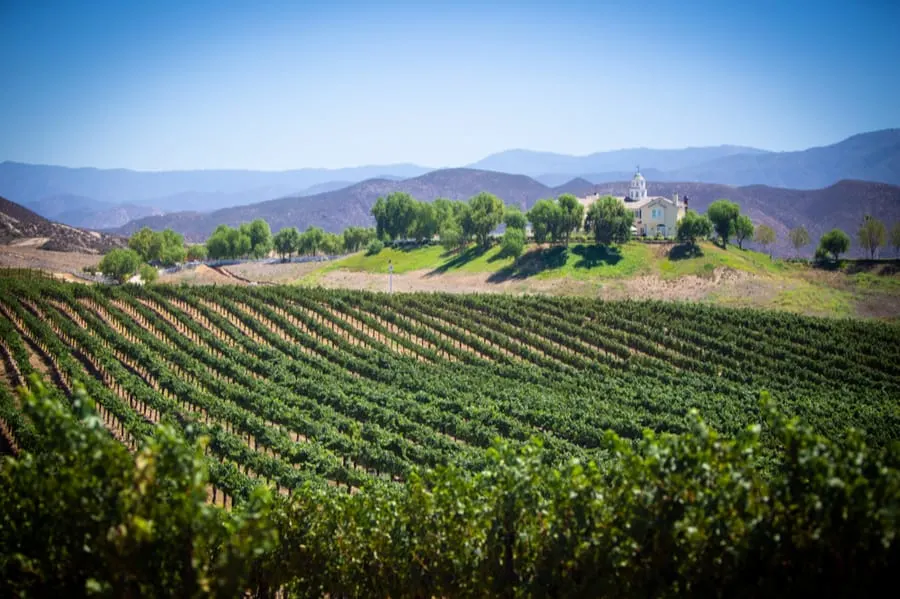 21+ Best Places to Go Glamping in California 6 Vineyard in Temecula