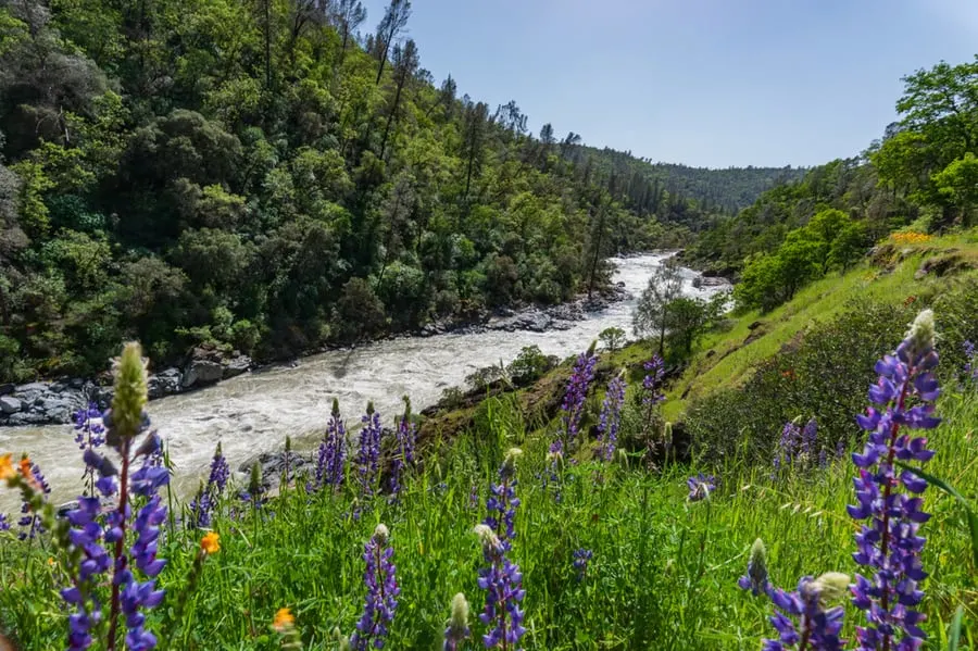 21+ Best Places to Go Glamping in California 8 Yuba River in California