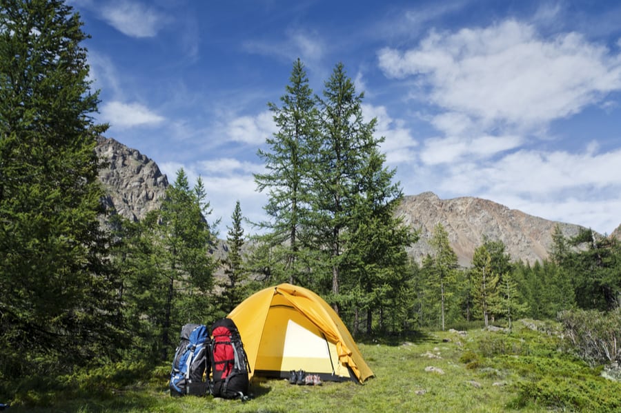 How to Store Food While Camping 1 Backcountry campsite with yellow tent.