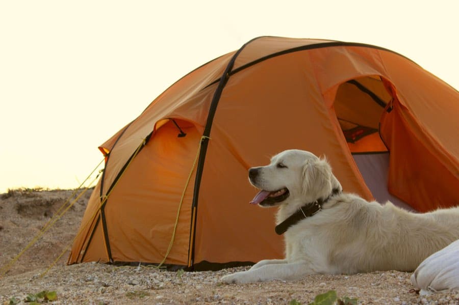 The Top Primitive Camping Essentials for Women - Cleanwaste