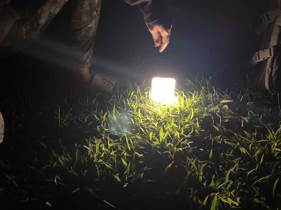 Biolite Sunlight Solar Rechargeable Lantern Review 1 Biolite Sunlight Rechargeable Lantern