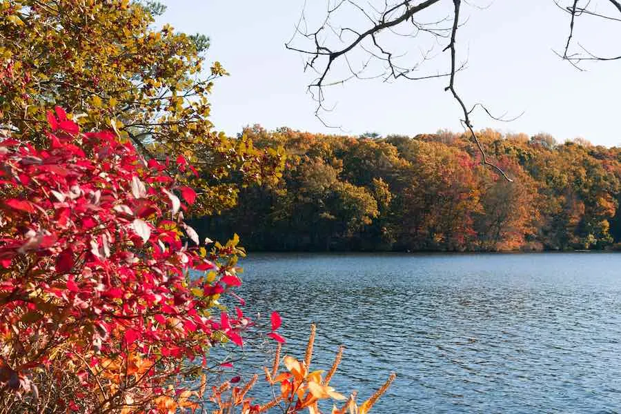 13 of The Best Places to go Camping in Delaware 3 Camping in Delaware: Killens Pond State Park