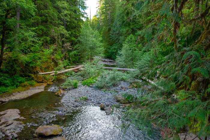 Bagby Hot Springs
