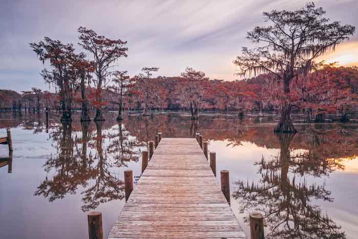 Caddo Lake and Bald Cypresses from Pier - Uncertain Harrison County Northeast Texas