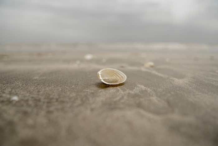 21 Places For Amazing Texas Beach Camping 1 Sea Rim State Park