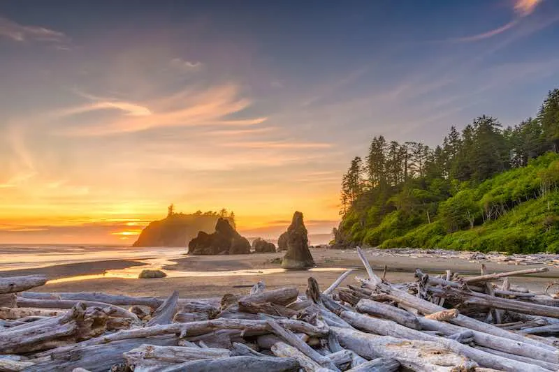 21 Of The Best Hammocking Spots in the US 11 Olympic National Park