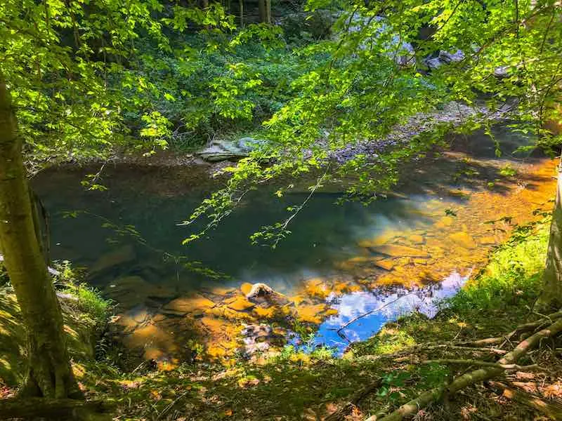 5 Stunning Swimming Holes and Natural Springs in Illinois 3 Bell Smith Springs