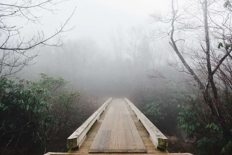15 of the Best Trails for Hiking in North Carolina 9 Graveyard Fields