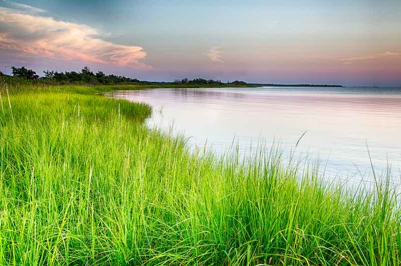 15 Gorgeous Natural Springs in North Carolina 2 Cape Fear River