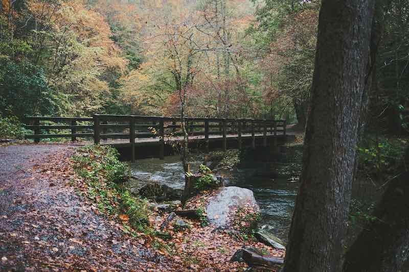 15 Gorgeous Natural Springs in North Carolina 14 Deep Creek