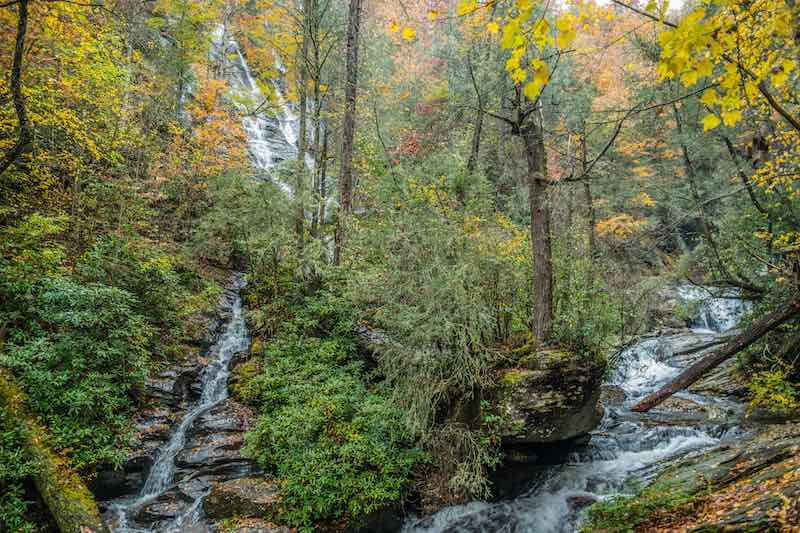 Best Hiking in Georgia: 13 Must-Visit Trails 1 Duke's Creek