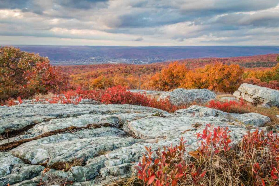 The 17 Best Spots for Beach Camping in New Jersey Beyond The Tent
