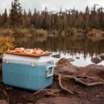 coolers for camping