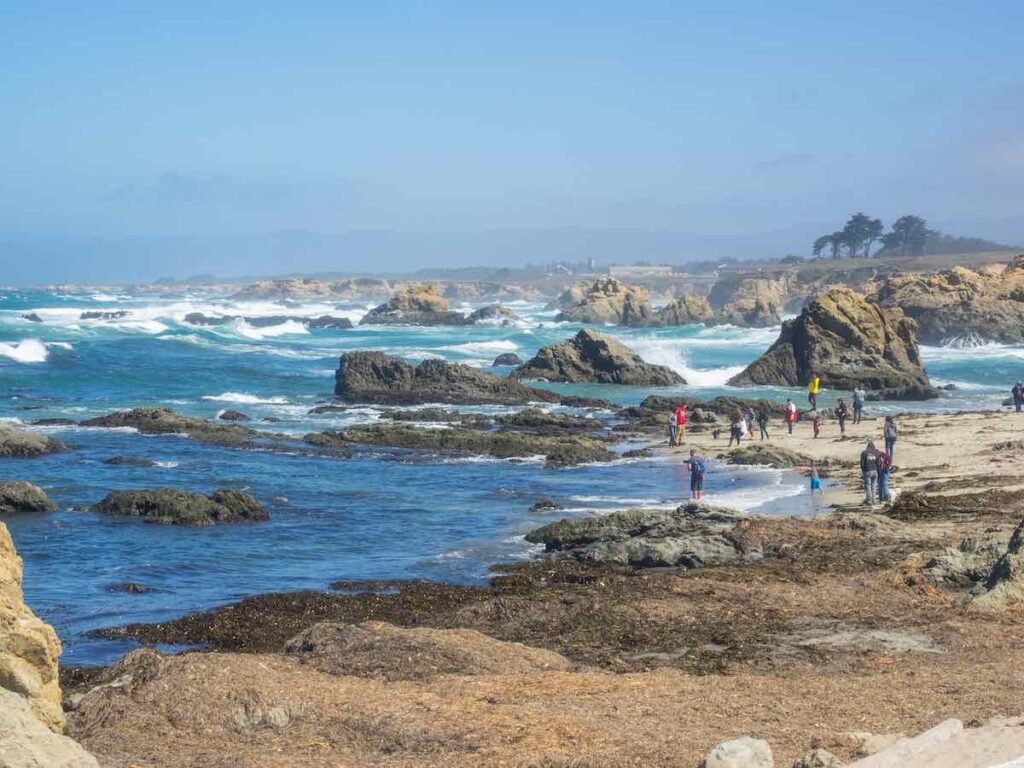 The Complete Mackerricher State Park Camping Guide 2 Mackerricher State Park Camping Guide