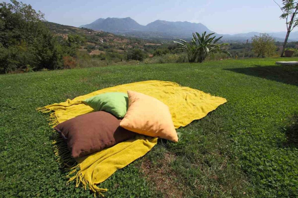 Best Camping Pillows