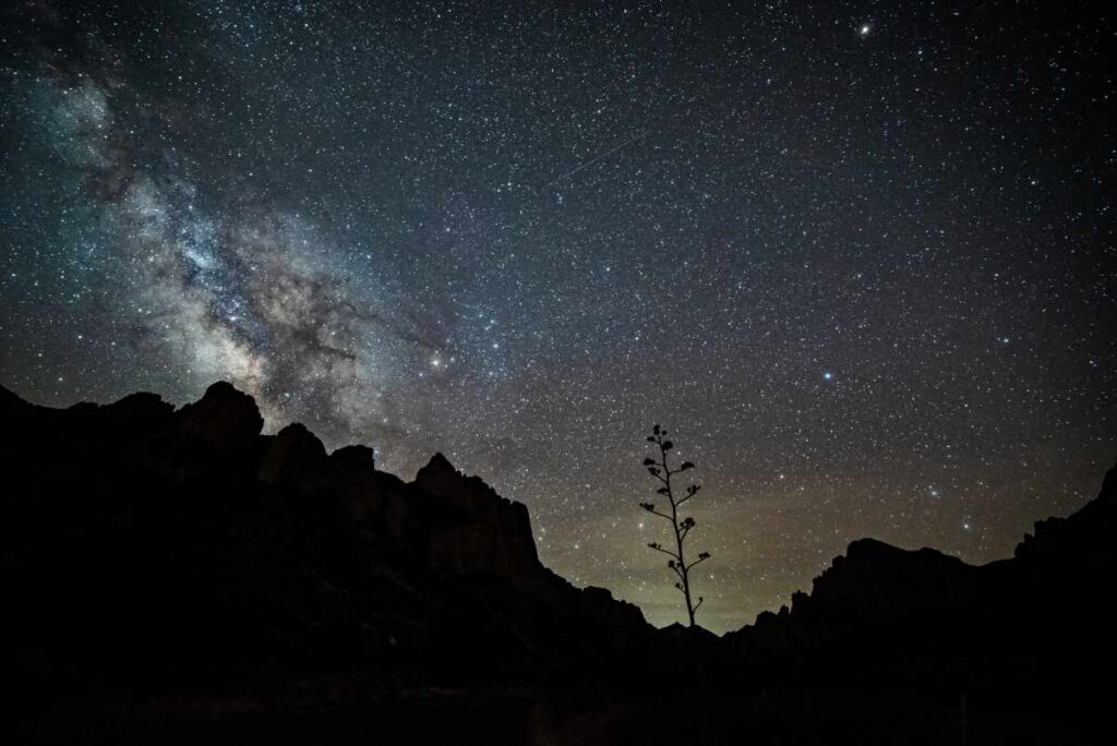 Desert Stargazing